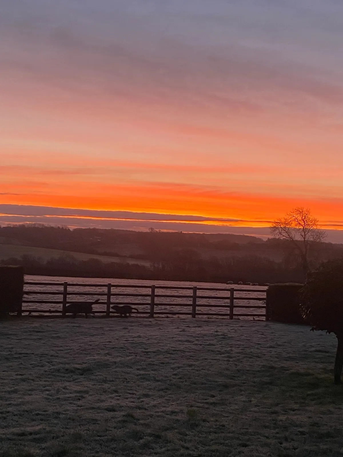 All Paws Home From Home Boarding, Northampton - Photo 3 of 3