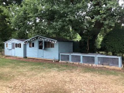 Katie's Bunny Boarding, Guildford - Photo 1 of 2