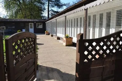 Cats Whiskers Cattery Hotel, Henley-on-Thames - Photo 1 of 3