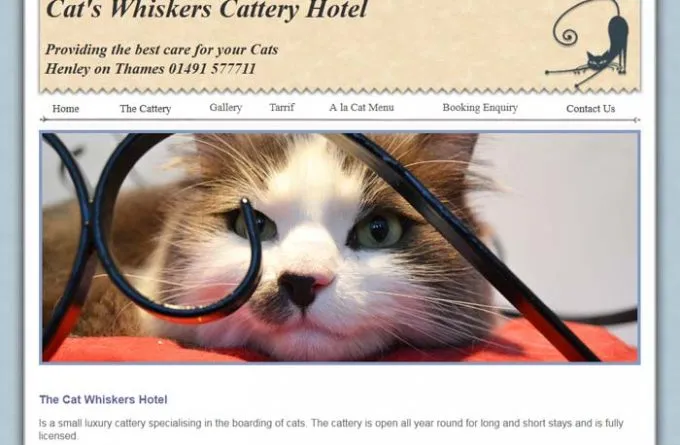 Cats Whiskers Cattery Hotel, Henley-on-Thames - Photo 3 of 3