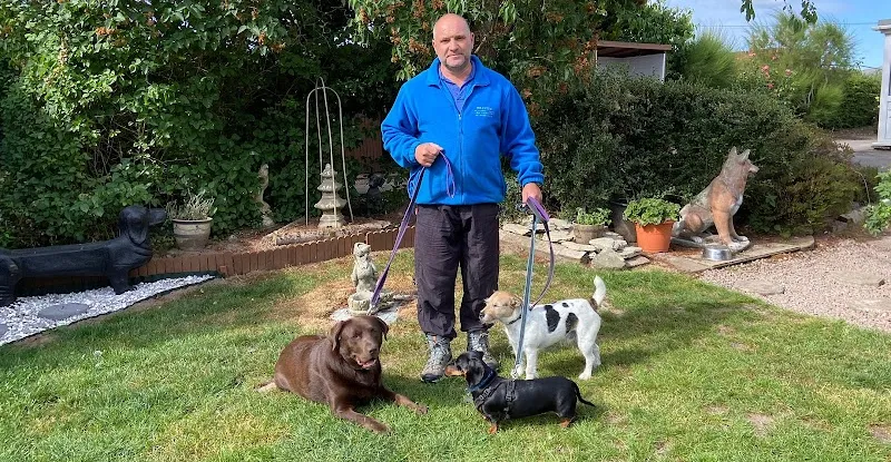 Hillview Canine Centre