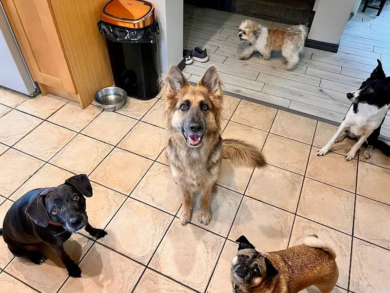 Berry’s Pet Services