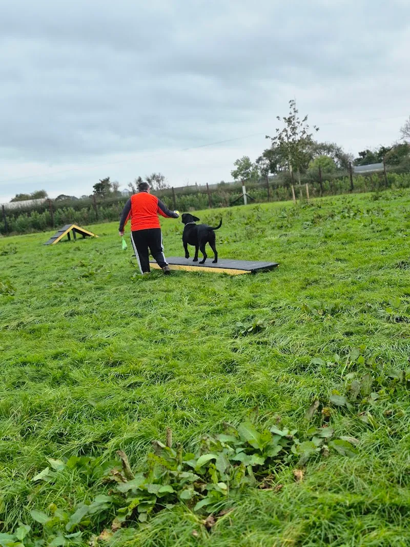 Country Canines Luxury Boarding