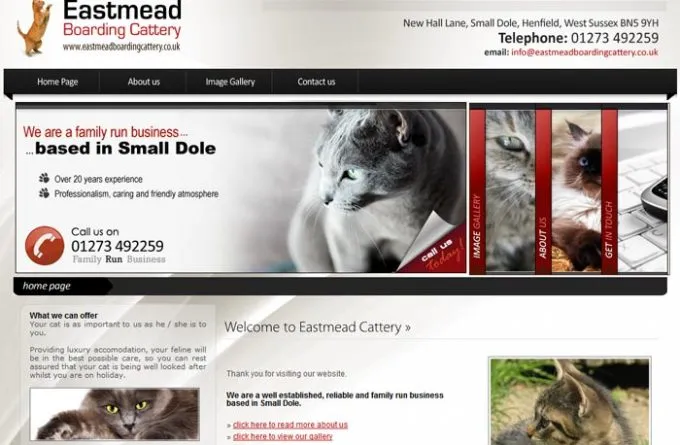 Eastmead Boarding Cattery, Henfield - Photo 3 of 3