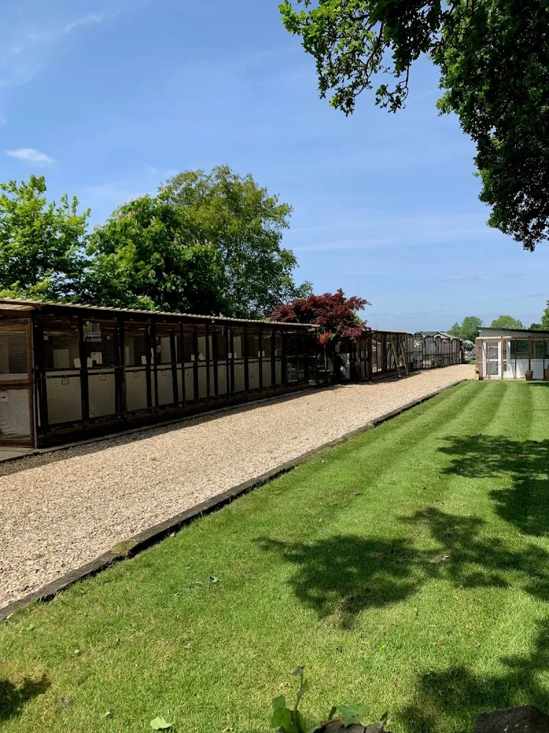 Eastmead Boarding Cattery