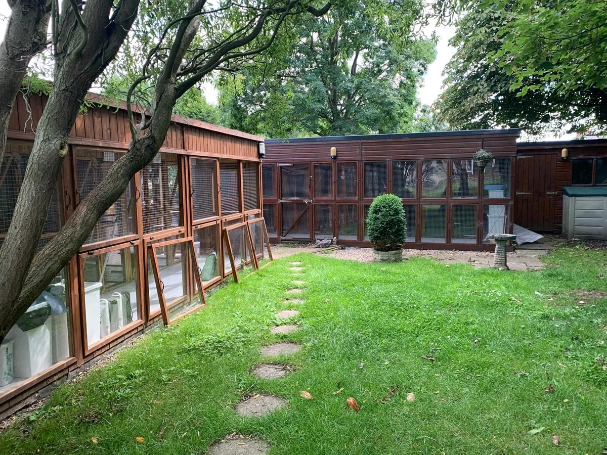 Little Glen Cattery, Leicester - Photo 2 of 2