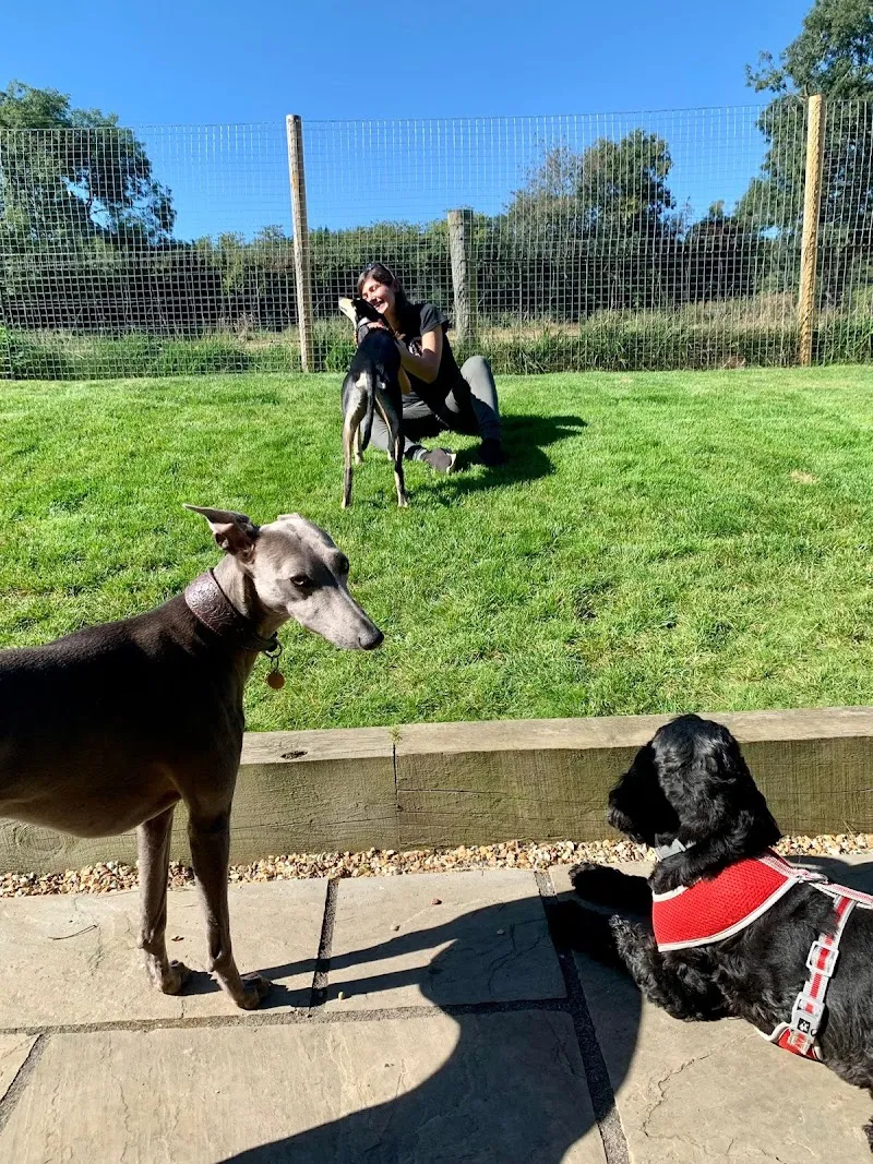 Surrey Hills Happy Hounds Doggy Day Care & Boarding