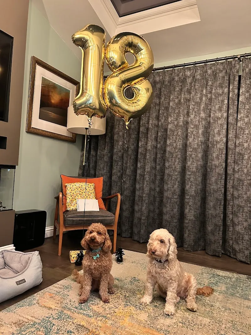 Warren Wood Kennels & Cattery