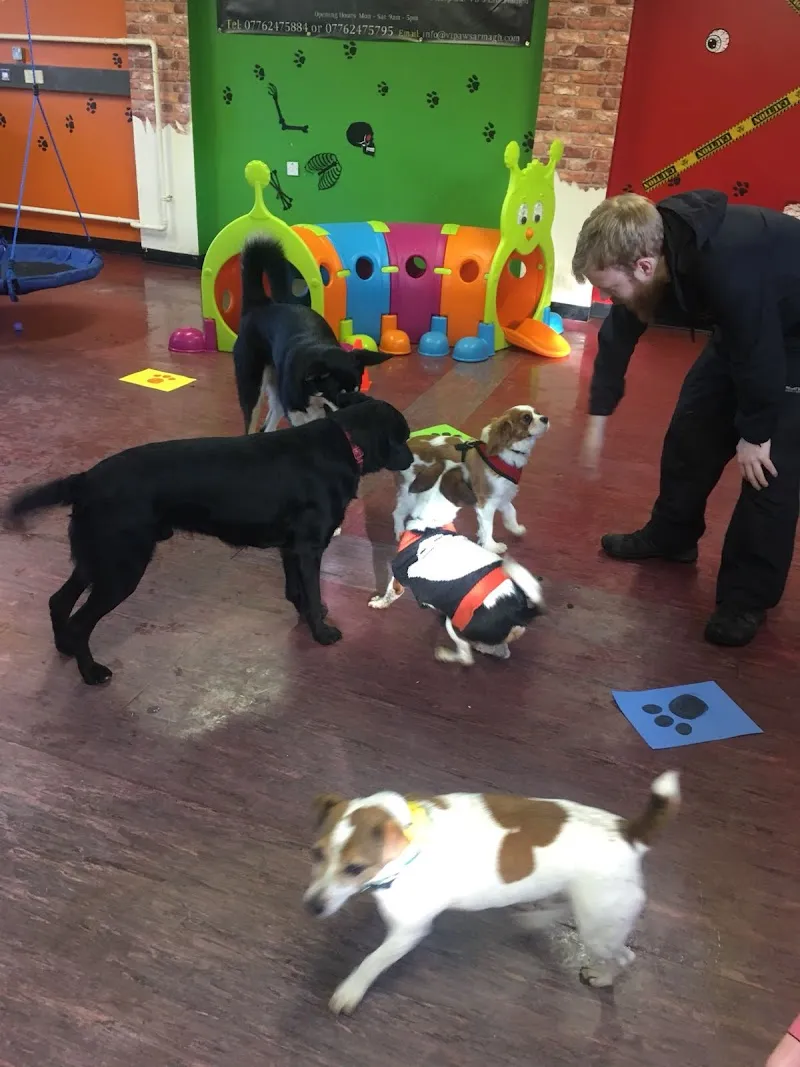 VIP - Very Important Paws