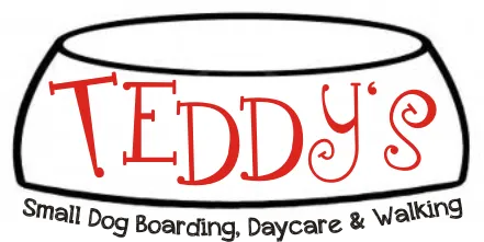 Teddy's Dog Care, Northampton - Photo 3 of 3