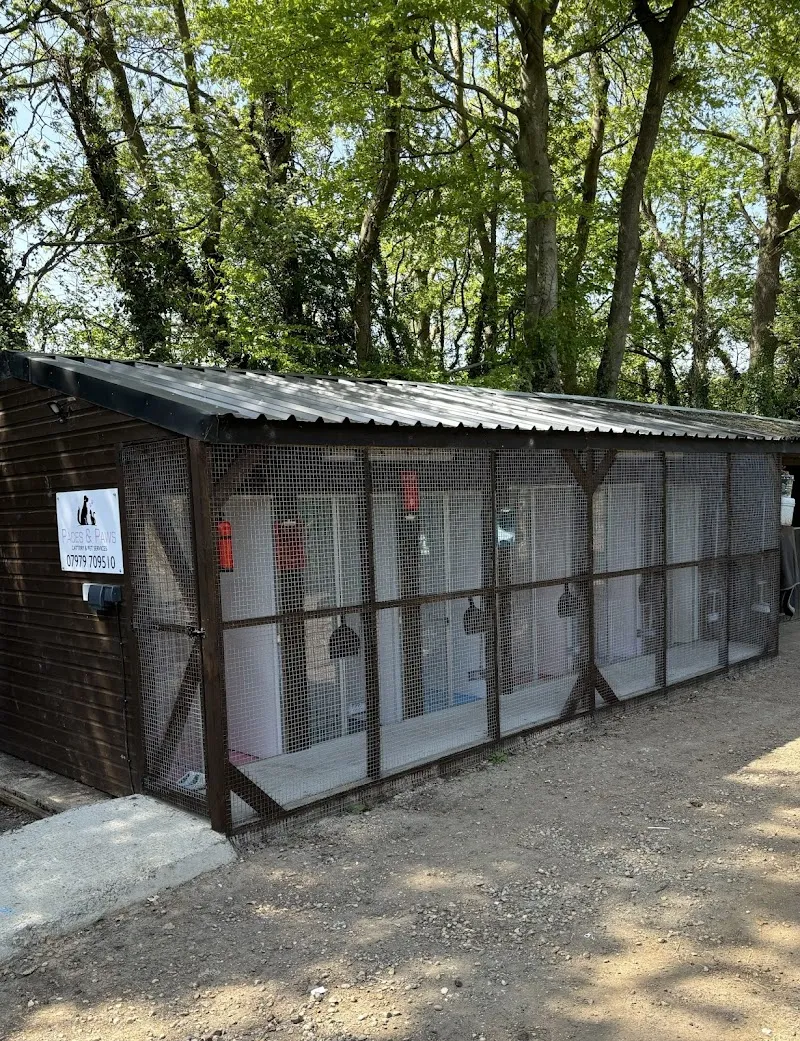 Paces and Paws - Cattery & Pet Services