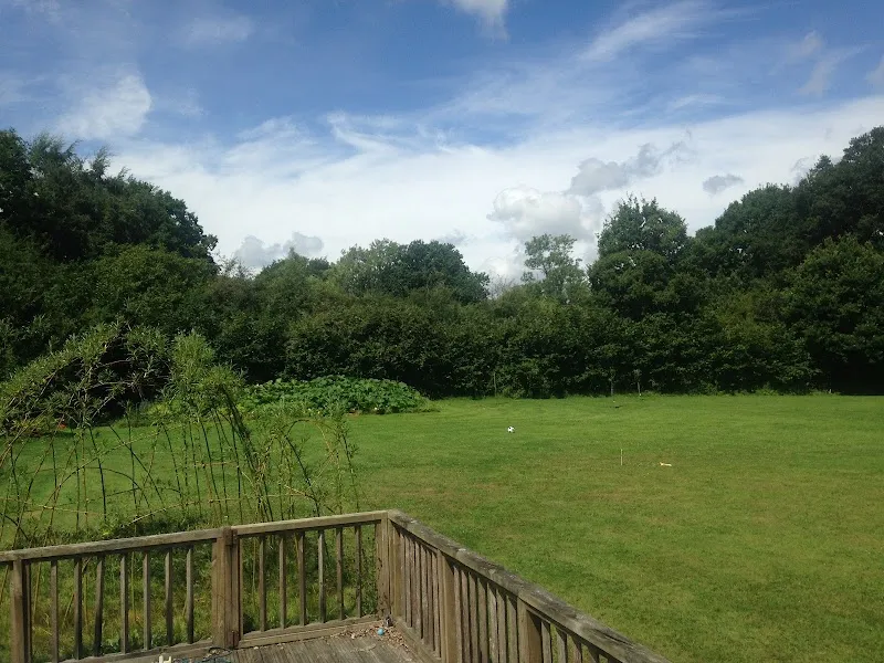 Birchwood Horses & Dogs