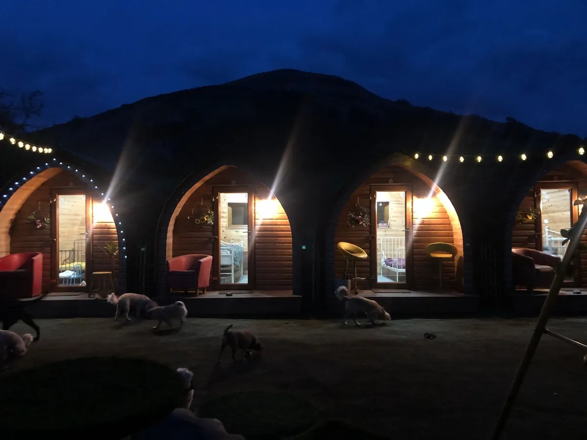 Pooch Pods, Carnforth - Photo 2 of 2