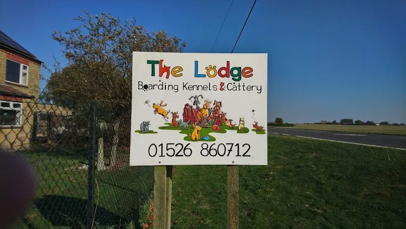 the lodge boarding kennels
