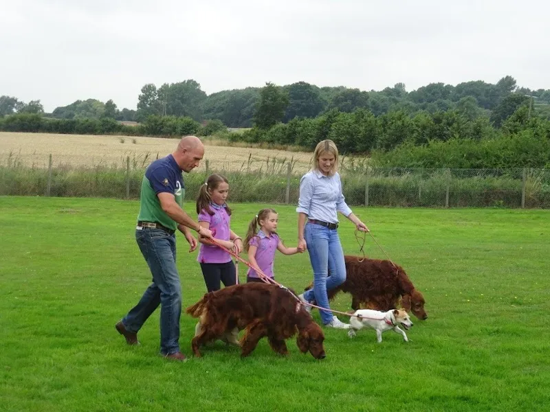 Hazel Tree Country Boarding Kennels