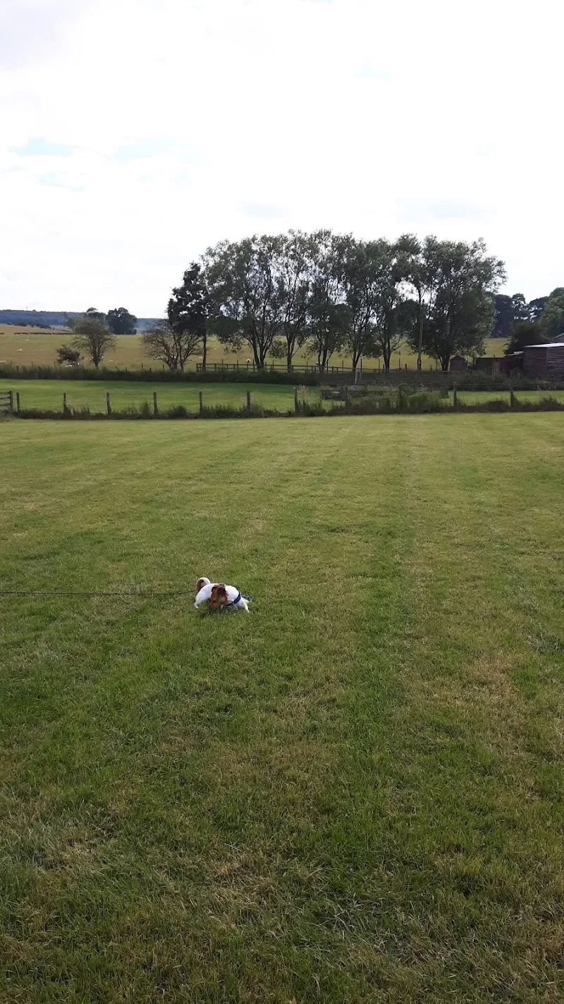 Linnbank Boarding Kennels