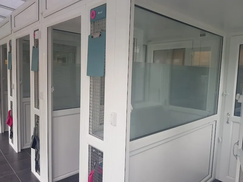 Dulverton Lodge Cat Hotel & Pet Spa