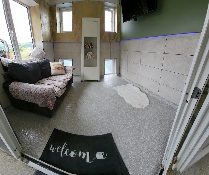 K9 Resort Boarding & Daycare