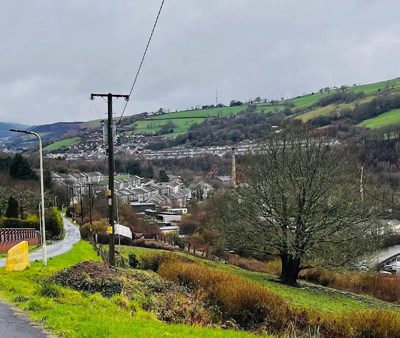 K9 Resort Boarding & Daycare