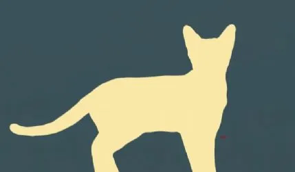 Catsworth House Cat Hotel, High Peak - Photo 1 of 3