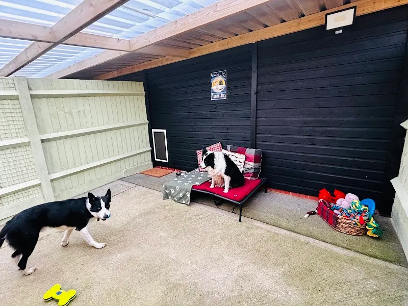 Canine Valley Rutland