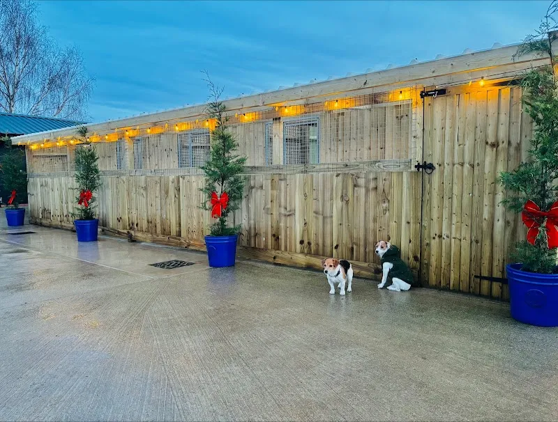 Canine Valley Rutland