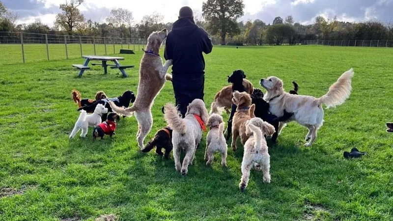 Nilz & Harley Pet Services