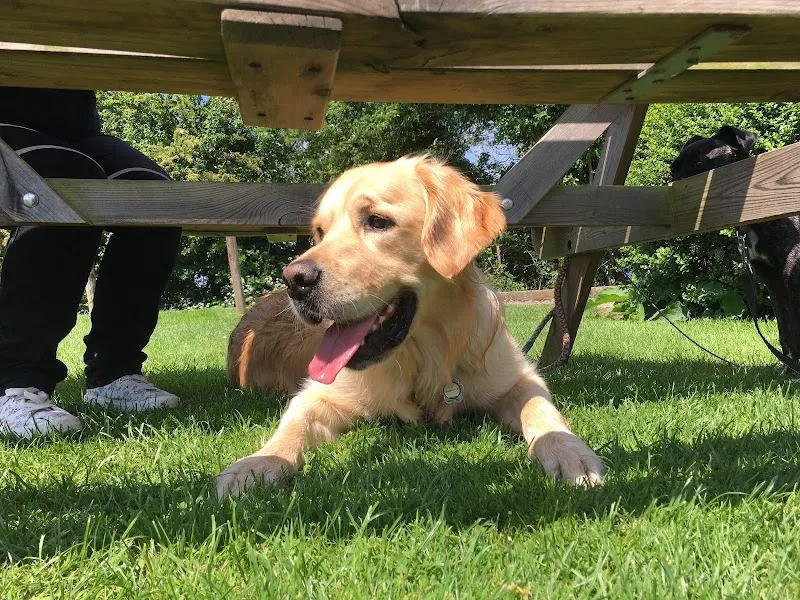 Nilz & Harley Pet Services