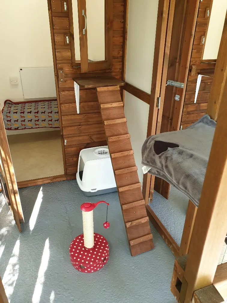 Purrfect Paws Boarding Cattery