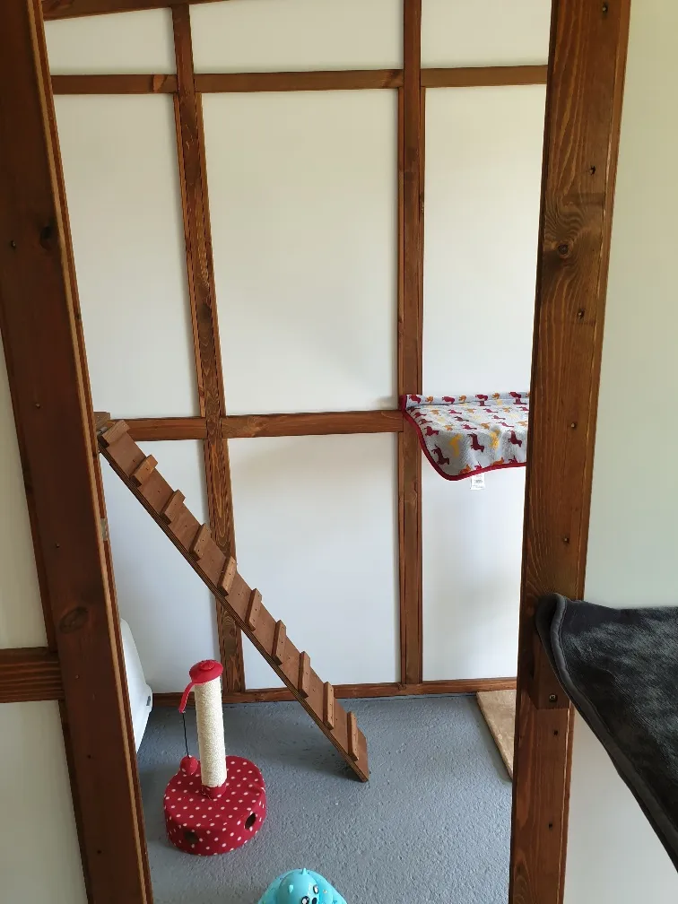 Purrfect Paws Boarding Cattery