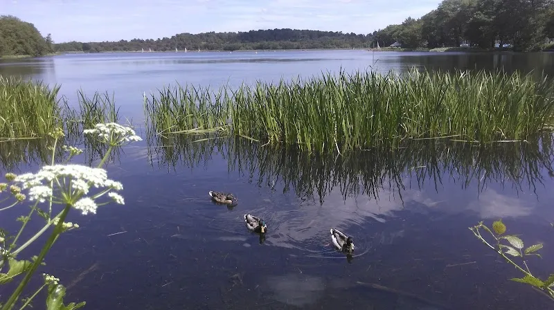 Frensham Pond Kennels