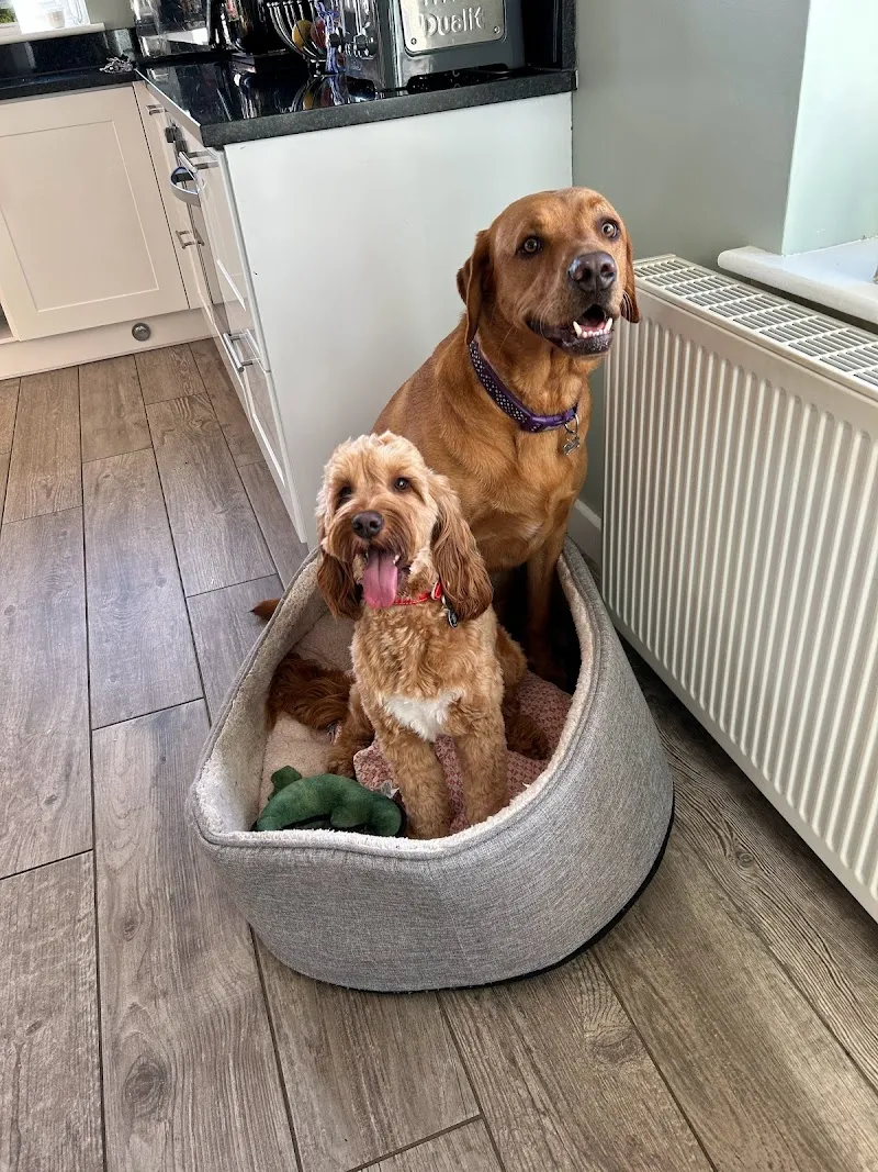 Milo’s Paws & Pals