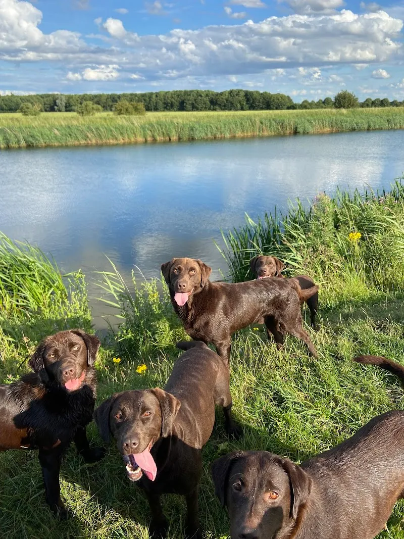 Peacehaven Boarding Kennels