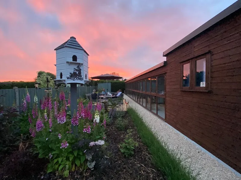 Hocus Pocus Cat Hotel