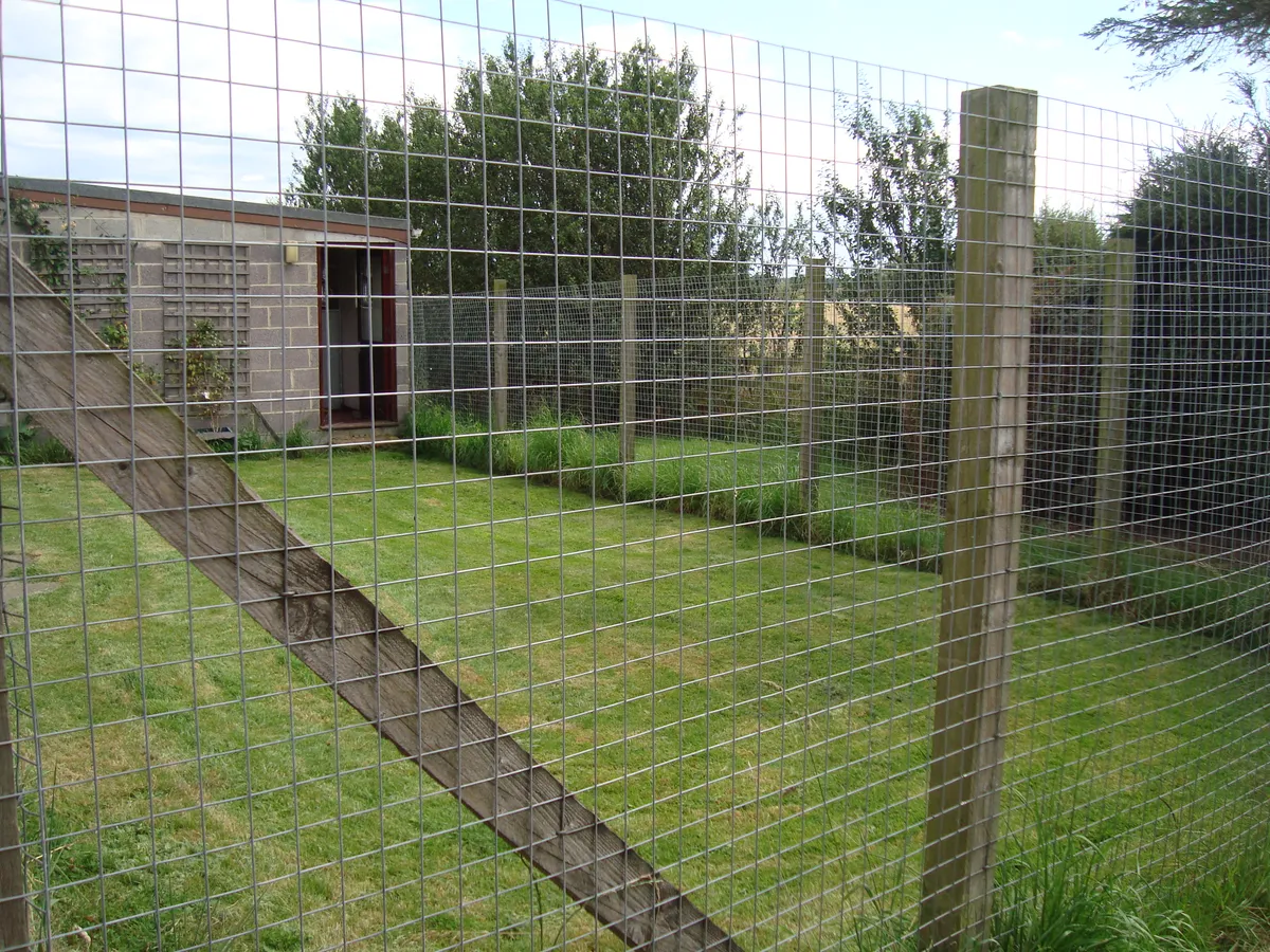Romanby Kennels, Northallerton - Photo 3 of 6