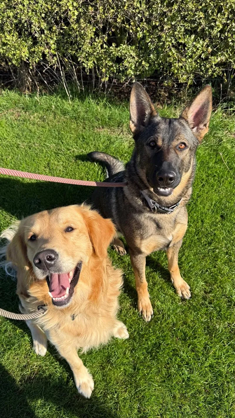 Oaklands Boarding Kennels
