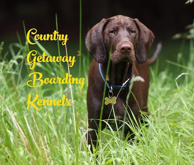 Country Getaway Boarding Kennels