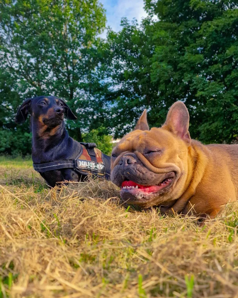 Country Getaway Boarding Kennels