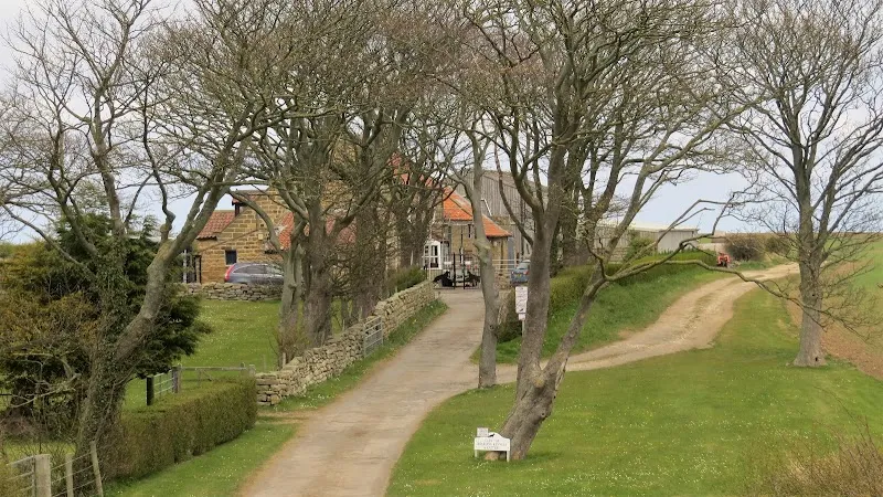 Cliff Top Kennels Re-homing Centre