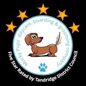 Mucky Pupz - daycare, boarding & grooming company, Horley - Photo 1 of 3