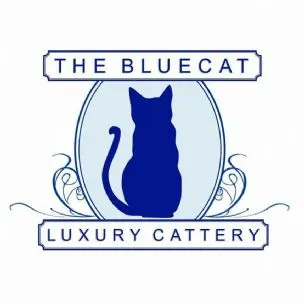 The Bluecat Cattery Ltd - Image 1
