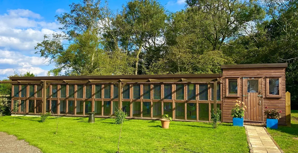 Hazelwood Boarding Cattery, Ashford - Photo 3 of 3