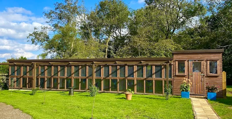 Hazelwood Boarding Cattery