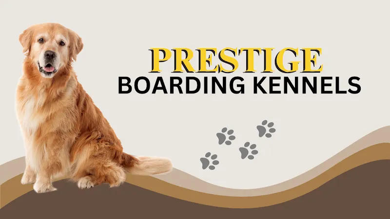 Prestige Boarding Kennels Hull