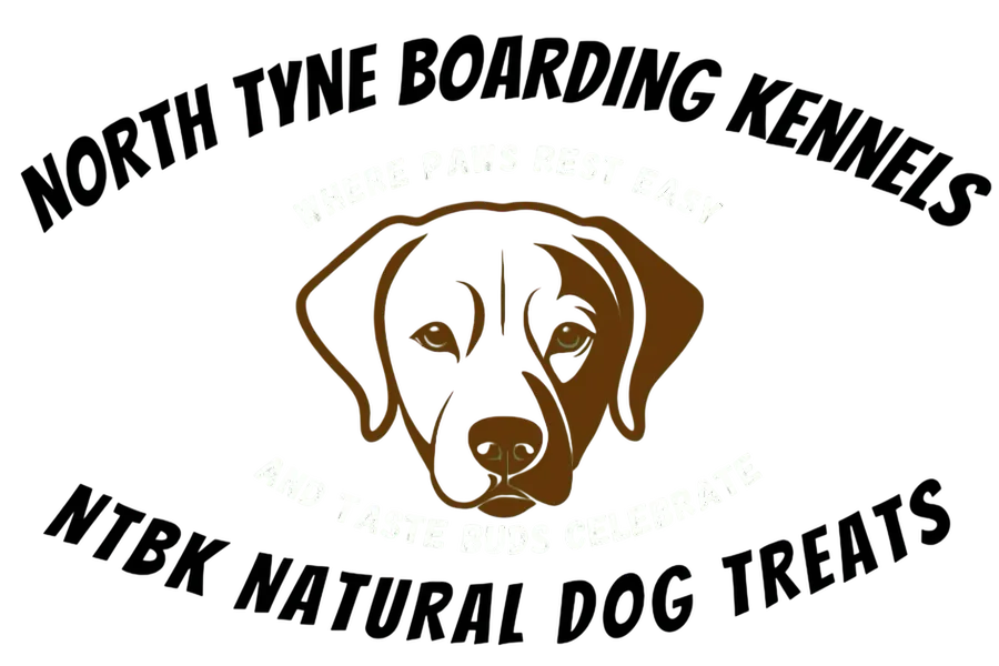 North Tyne Boarding Kennels, Hexham - Photo 4 of 4