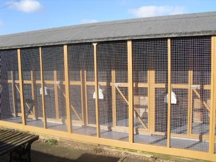 Wortham Boarding Kennels and Cattery, Diss - Photo 2 of 4
