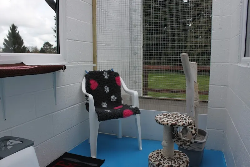 Glenthorne Cattery