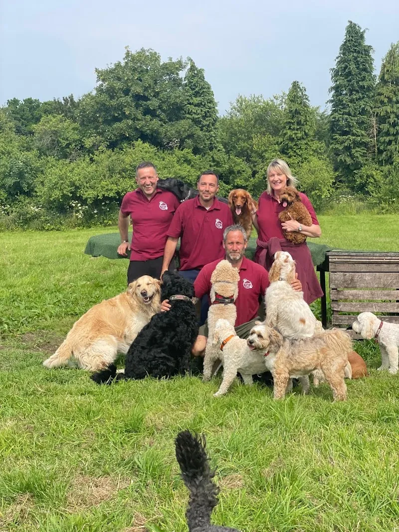 Cottons Doggy Daycare