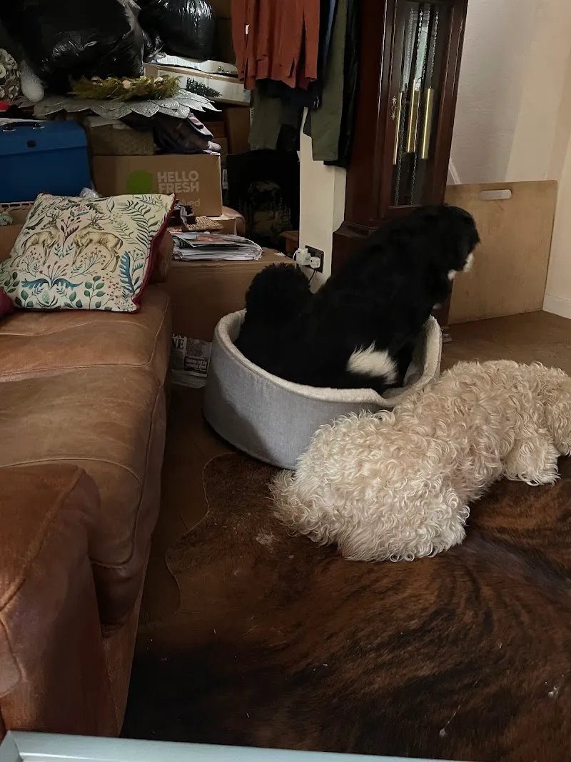 Branscombe Kennels & Cattery