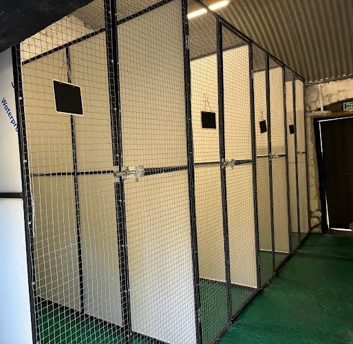 Fruitvale Cat Hotel, Craigavon - Photo 2 of 2